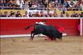 Jose Antonio Pinto (122)